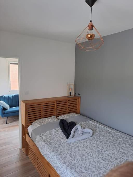Holiday home - Carcassonne